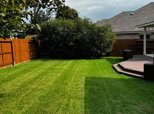 Tony S.'s grass cutting service result