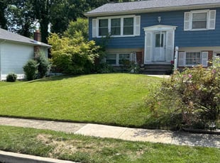 Carol H.'s grass maintenance service result