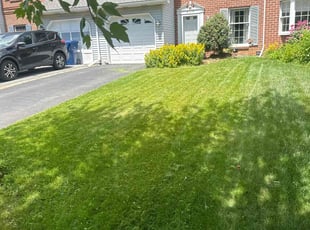 Cordell K.'s lawn maintenance service result