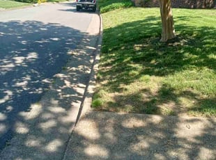 Sharon R.'s Long Grass Cleanup service result