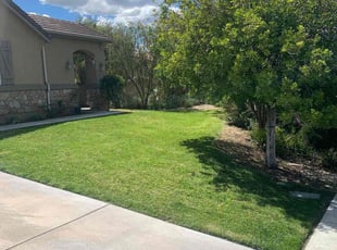 Debbie D.'s lawn care service result