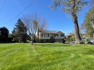 Ibid D.'s turf care service result