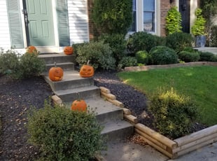 Meaghan K.'s Bush Trimming service result