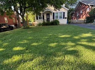 Lillian J.'s lawn service service result