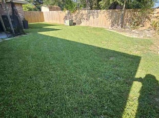 Sarah S.'s lawn care service result