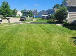 Annie M.'s lawn care service result