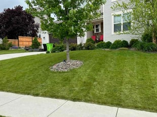 Corey D.'s yard work service result