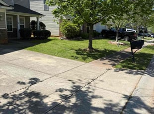 Justice A.'s grass cutting service result