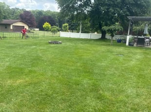 Mary B.'s grass maintenance service result