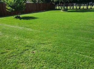 Dawn R.'s lawn service service result