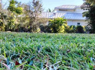 Darrell W.'s lawn care services service result
