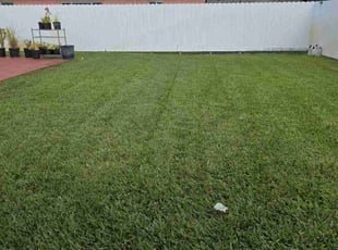 Morgan P.'s landscaping services service result