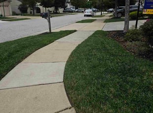 Elizabeth Z.'s grass cutting service result