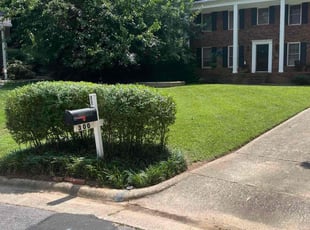 Donna M.'s lawn care services service result