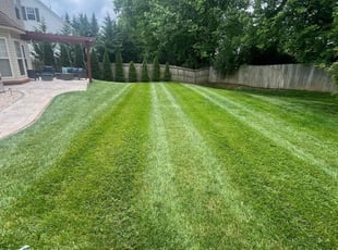 Kathy D.'s turf maintenance service result