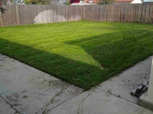 Ruben C.'s lawn care service result