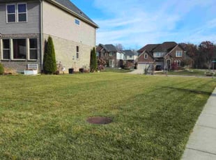 Jessica H.'s Leaf Removal service result