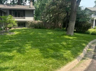 Amanda L.'s Leaf Removal service result