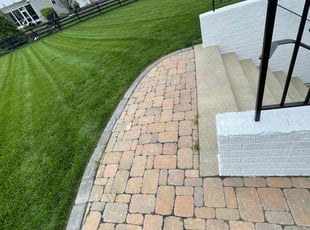 Francisca M.'s turf maintenance service result