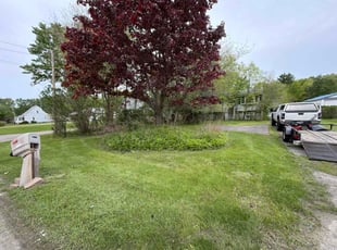 Fannie C.'s grass maintenance service result