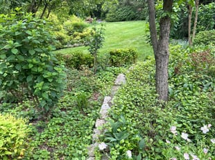 Maeley B.'s lawn service service result