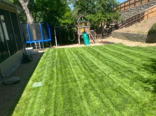 Karen D.'s lawn maintenance service result
