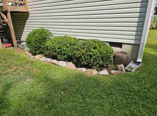 Laura L.'s Bush Trimming service result