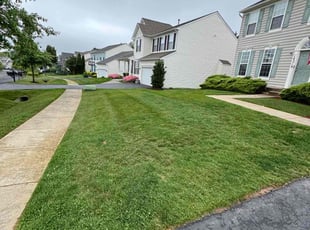 Candice H.'s turf maintenance service result