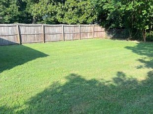 Kiesha R.'s grass maintenance service result