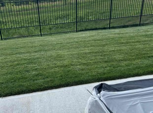 Barbara C.'s grass cutting service result