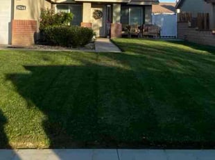 Rolyc W.'s Bush Trimming service result