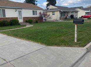 Roy C.'s grass maintenance service result