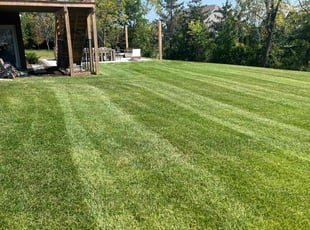 Joan S.'s lawn care services service result