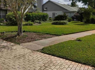 Camissa J.'s lawn care service result