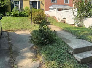Richard S.'s lawn care service result
