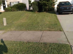 Vanessa L.'s grass maintenance service result