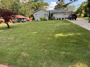 Bradrick F.'s turf care service result