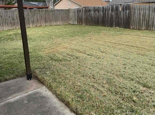 Lisa M.'s grass maintenance service result