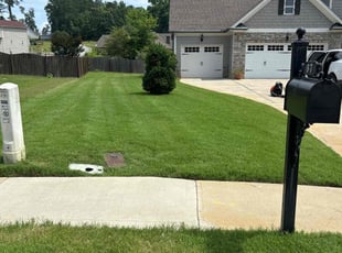 David L.'s lawn service service result