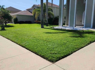 Joan N.'s lawn care service result