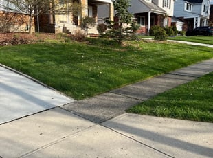 Andrew n.'s lawn care services service result