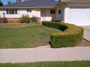 Abby N.'s lawn care services service result