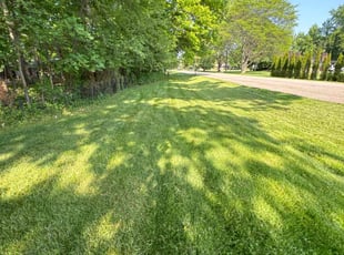 Nancy D.'s lawn service service result
