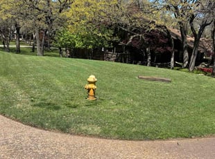 Lindsey M.'s lawn care services service result