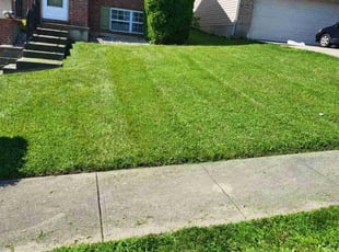 Tiffany G.'s lawn care service result
