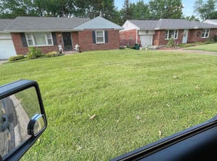 Mike W.'s lawn care service result
