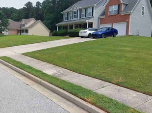 Rahim H.'s lawn maintenance service result