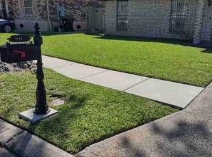 Ray H.'s grass cutting service result