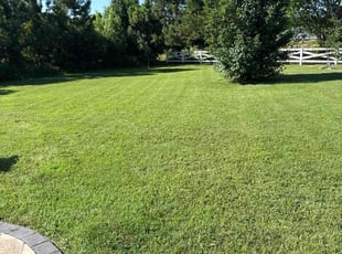 Diana E.'s lawn care services service result