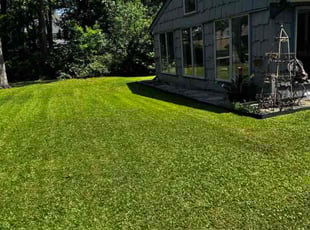 Paulette C.'s lawn maintenance service result